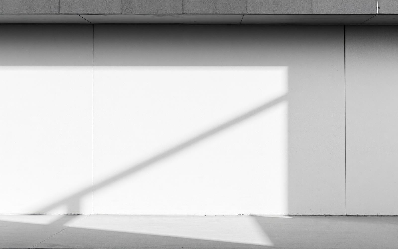Zo Culture editorial